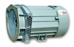 Brushless synchronous generator (1)GS2-16 U2(T2)