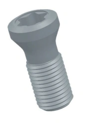 Screw SM 3.5-2