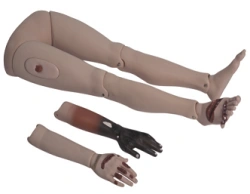 Models of traumatic injuries of extremities, G110-4