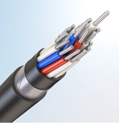 Control cables with plastic insulation, for voltage of 660 V of frequency up to 100 Hz or direct voltage up to 1000 V, AKVEBb