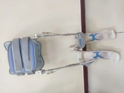 Lower limbs and torso device AN8-02
