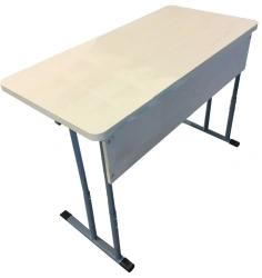 Double-seat student desk