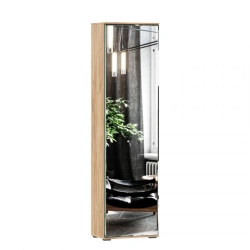 Fiji LD.659320.000 M Single-leaf wardrobe with mirror (Oak Gold/Antracite )