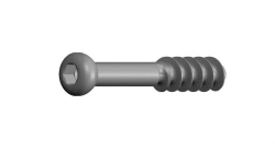 Spongy screw Ø 6,5 mm, 16 mm threads, length from 25 to 120 mm, 5 mm pitch, article number 22.17.XX