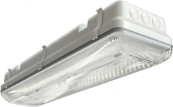 LED luminaire TL-ECO series IP 65 RUS