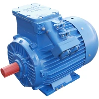 Explosion-Proof Three-Phase Induction Motors, Rotor Height 250-280mm, < 75kW