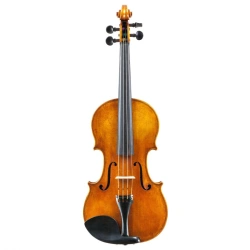 GSI 7/8 master concert violin (set)