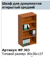 "Formula" Medium open filing cabinet article FR 303