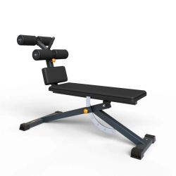 BF-321 Adjustable Roman chair