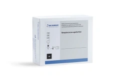 Reagent kit for the detection of Streptococcus agalactiae DNA by real-time PCR (Streptococcus aga