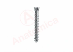 Sponge screw with cylindrical thread