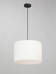 General purpose fixed luminaire V2956-1/2S
