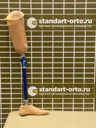 Hip prosthesis for bathing
