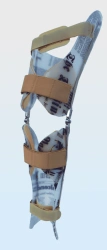 Knee joint apparatus AN4-T