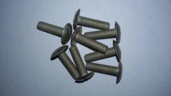 Screws with flat-convex head OST 1 31539-80