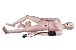 Multifunctional mannequin: trauma care, stoma care, bladder catheterisation, NS1019