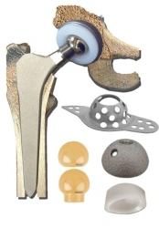 Endoprosthesis of hip joint apo TU 32.50.22-020-49346483-2017