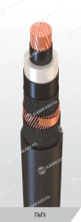Power cable with copper conductors insulated with cross-linked polyethylene for voltage 6, 10, 15, 20, 35 kV of PvPg grade accor