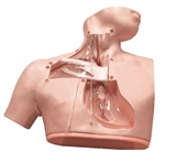 Model of care (parenteral nutrition) 72