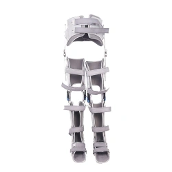 Lower limb and trunk orthopaedic apparatus