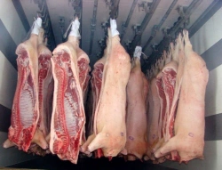 Pork 1 category meat in frozen carcasses