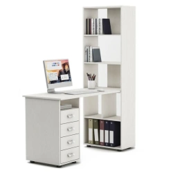 Computer desk with shelving unit