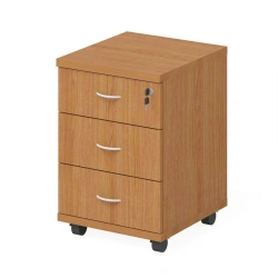 Wooden office cupboards DAMINART brand