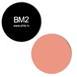 Fluorescent testing target BM2-1