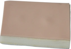 Model for lipoma resection CS6217