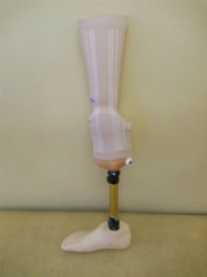 Tibial prosthesis for bathing
