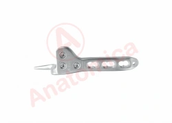 Hook plate with angular stability