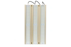 LED luminaire Module GOLD, Universal U-3, 4000K, 372W