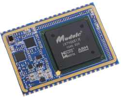 Navigation Receiver Modules