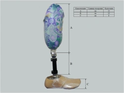 Tibial prosthesis for bathing