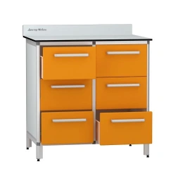 Cabinet for storage of medicines according to TU 32.50.30-007-32924160-2021, article number DM-2-109-05.K2.?2.