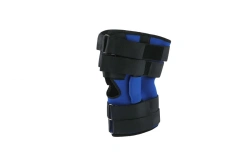 Knee joint apparatus AN4-30