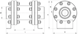 Check valve ATEK.494284.002