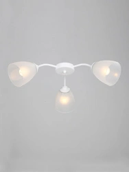 General purpose fixed luminaire V3761/3PL