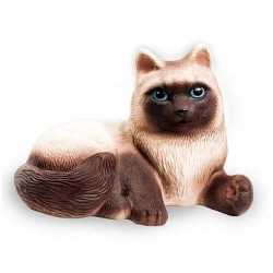 Siamese cat