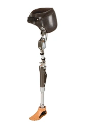 Prosthetic & Orthopaedic Devices