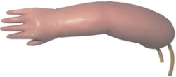 Newborn hand model for venipuncture PS150S / S15