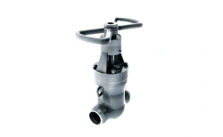 Gate valve 2s-35-2H