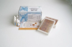 Reagent kit "Multimicrotests for biochemical identification of Enterobacteriaceae (MMT E24)".