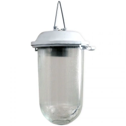 1005550280 "Acorn A" NSP 02-200-001 IP52 GU Luminaire