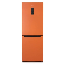 Refrigerator-freezer "Biryusa T920NF"