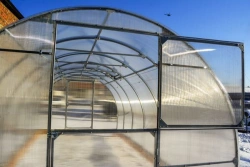 Greenhouse "Praktik"