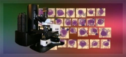 Complex of automated microscopy with telemedicine function MECOS-C2 HEMO-O M-5