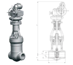 Gate valve 1123-100-CZ DN100/PN13,7 MPa