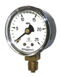 Indicating pressure gauges DM2029