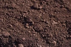 Iron Ore Agglomeration with 50.0% Iron Content